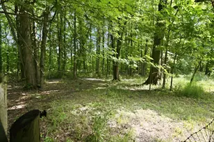 2885 Lindale-Mt Holly Rd, Monroe Township, OH 45102 - Photo 68