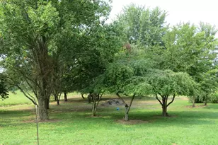 4263 St Rt 73, Washington Twp, OH 45133 - Photo 38
