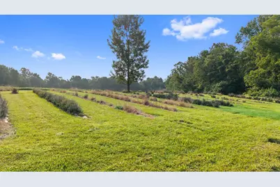 9790 Baker Hanselman Road, Franklin Township, OH 45121 - Photo 56