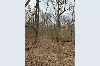 6049 Big Run Road, Pleasant Township, OH 45121 - Photo 60
