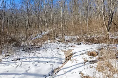 6049 Big Run Road, Pleasant Township, OH 45121 - Photo 64