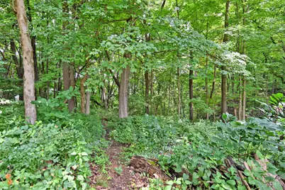 7064 Monongahela Drive, Newtown, OH 45244 - Photo 42