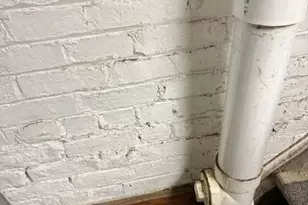 229 Dorchester Ave, Cincinnati, OH 45219 - Photo 24