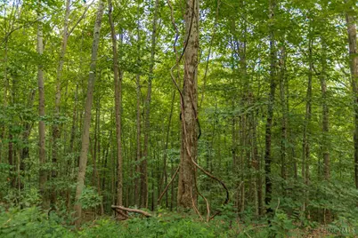 6560 Mt Unger Road, Otway, OH 45657 - Photo 54