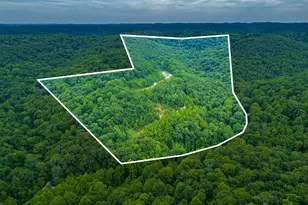 6560 Mt Unger Rd, Otway, OH 45657 - Photo 4