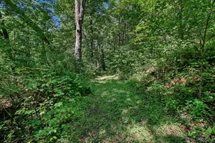 0 Bascom Corner Rd, Rising Sun, IN 47040 - Photo 22