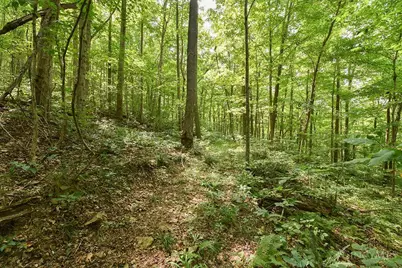 182 Sunfish Creek Road #1, Piketon, OH 45661 - Photo 30