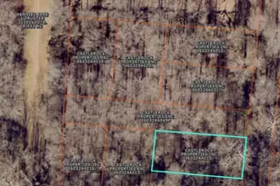 0 2 78 Acres St, Bethel, OH 45106 - Photo 1