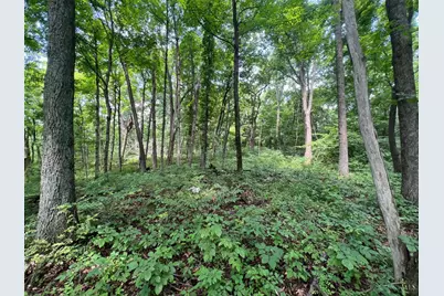 1900 Cruey Lane, Batavia Township, OH 45103 - Photo 6