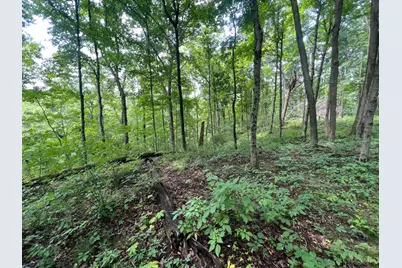 1900 Cruey Lane, Batavia Township, OH 45103 - Photo 2