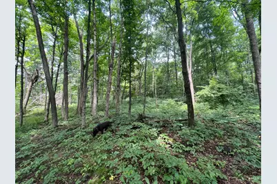 1900 Cruey Lane, Batavia Township, OH 45103 - Photo 4