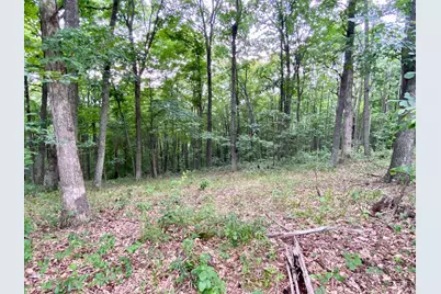 206 Thelma Lane, Blue Creek, OH 45616 - Photo 26