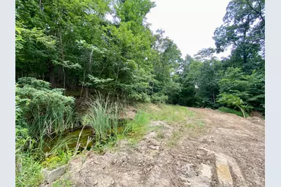 206 Thelma Lane, Blue Creek, OH 45616 - Photo 12