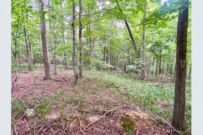 206 Thelma Lane, Blue Creek, OH 45616 - Photo 14