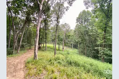 206 Thelma Lane, Blue Creek, OH 45616 - Photo 24