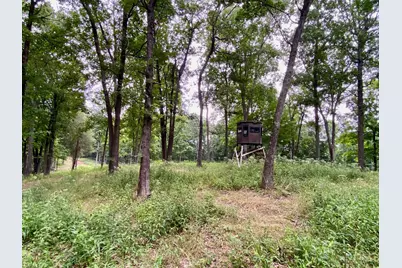 206 Thelma Lane, Blue Creek, OH 45616 - Photo 20