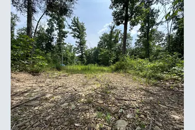 5786 St Rt 781, Peebles, OH 45660 - Photo 4