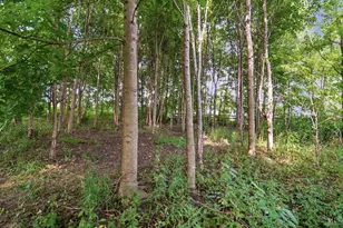 1129 Watkins Rd, Ross Township, OH 45335 - Photo 28