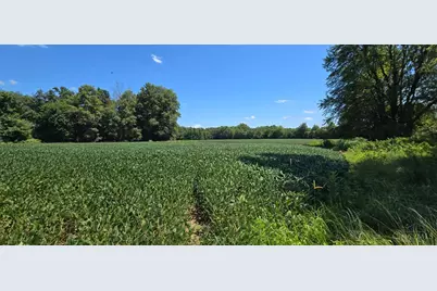 0 Fayetteville Blanchester Road, Perry Township, OH 45107 - Photo 8