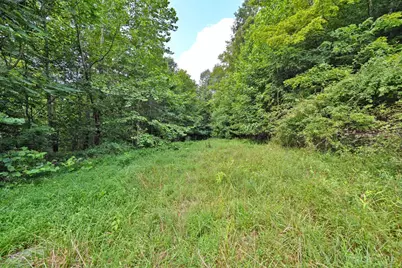 1890 Hall Fork Road, Blue Creek, OH 45616 - Photo 32