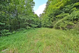 1890 Hall Fork Rd, Blue Creek, OH 45616 - Photo 32