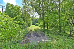 1890 Hall Fork Rd, Blue Creek, OH 45616 - Photo 38