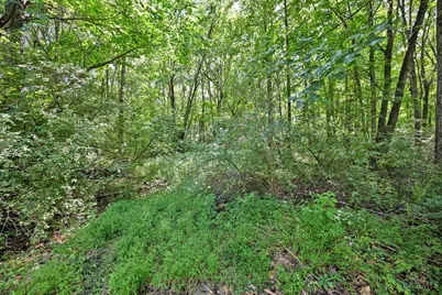 3617 State Route 222, Batavia, OH 45103 - Photo 4