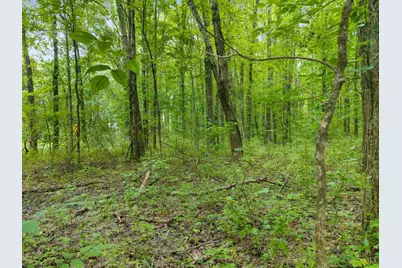 0 Moore Road, Bethel, OH 45106 - Photo 18