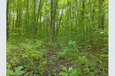 0 Moore Road, Bethel, OH 45106 - Photo 20
