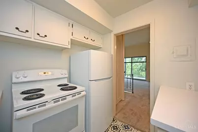 945 Parkside Place, Cincinnati, OH 45202 - Photo 64