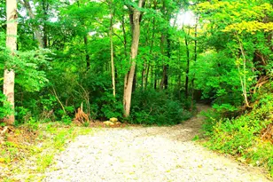 10415 E Miami River Rd, Colerain Township, OH 45252 - Photo 1