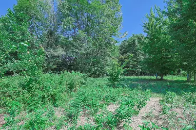 0 Richey Road, Franklin Township, OH 45120 - Photo 6