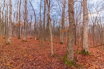 265 Greenbrier Road, Seaman, OH 45679 - Photo 4