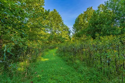 145 Tobe Lewis Road, Lynx, OH 45650 - Photo 26