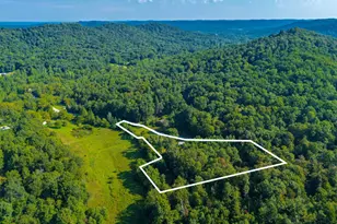 145 Tobe Lewis Rd, Lynx, OH 45650 - Photo 12