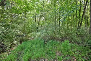 3617 St Rt 222, Batavia Township, OH 45103 - Photo 4
