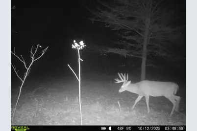 0 Roy Rogers Road, Clarksville, OH 45648 - Photo 96