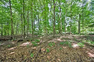 1185 Broadleaf Ct, Hamilton Township, OH 45039 - Photo 64