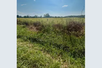 0 Templin Road, Harlan Township, OH 45107 - Photo 4