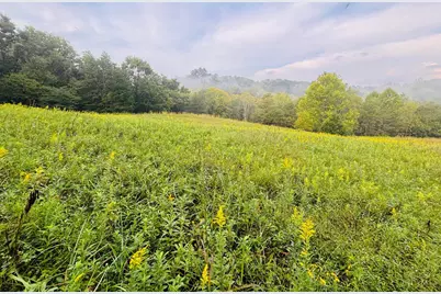 1 Snail Creek Road, Brookville, IN 47012 - Photo 4