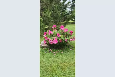 596 W Plane Street, Bethel, OH 45106 - Photo 78
