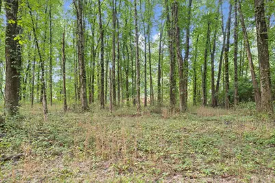 2410 Half Hill Road, Monroe Township, OH 45106 - Photo 14