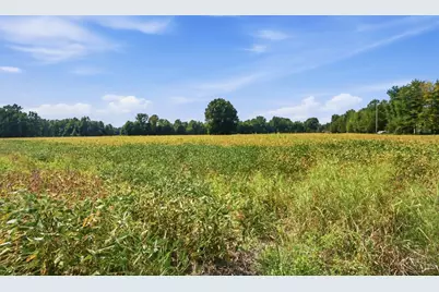 0 Sodom Road, Tate Township, OH 45130 - Photo 6