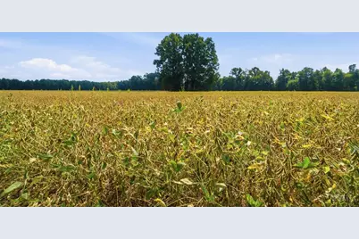 0 Sodom Road, Tate Township, OH 45130 - Photo 12