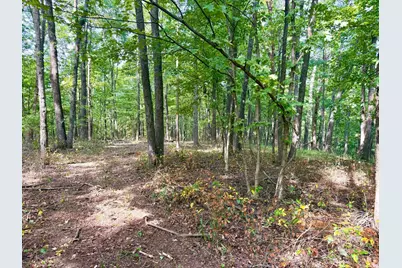425 Earl Brown Road, Otway, OH 45657 - Photo 32