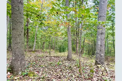 425 Earl Brown Road, Otway, OH 45657 - Photo 26