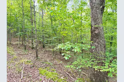 425 Earl Brown Road, Otway, OH 45657 - Photo 20