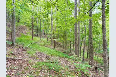 425 Earl Brown Road, Otway, OH 45657 - Photo 22