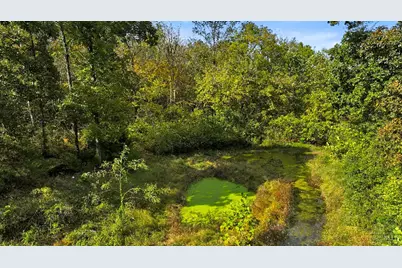 1236 Brier Ridge Road, Sprigg Township, OH 45693 - Photo 30