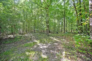 5619 Ivy Ln, Goshen, OH 45150 - Photo 44